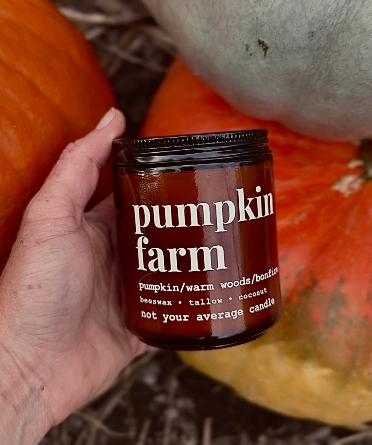 pumpkin farm