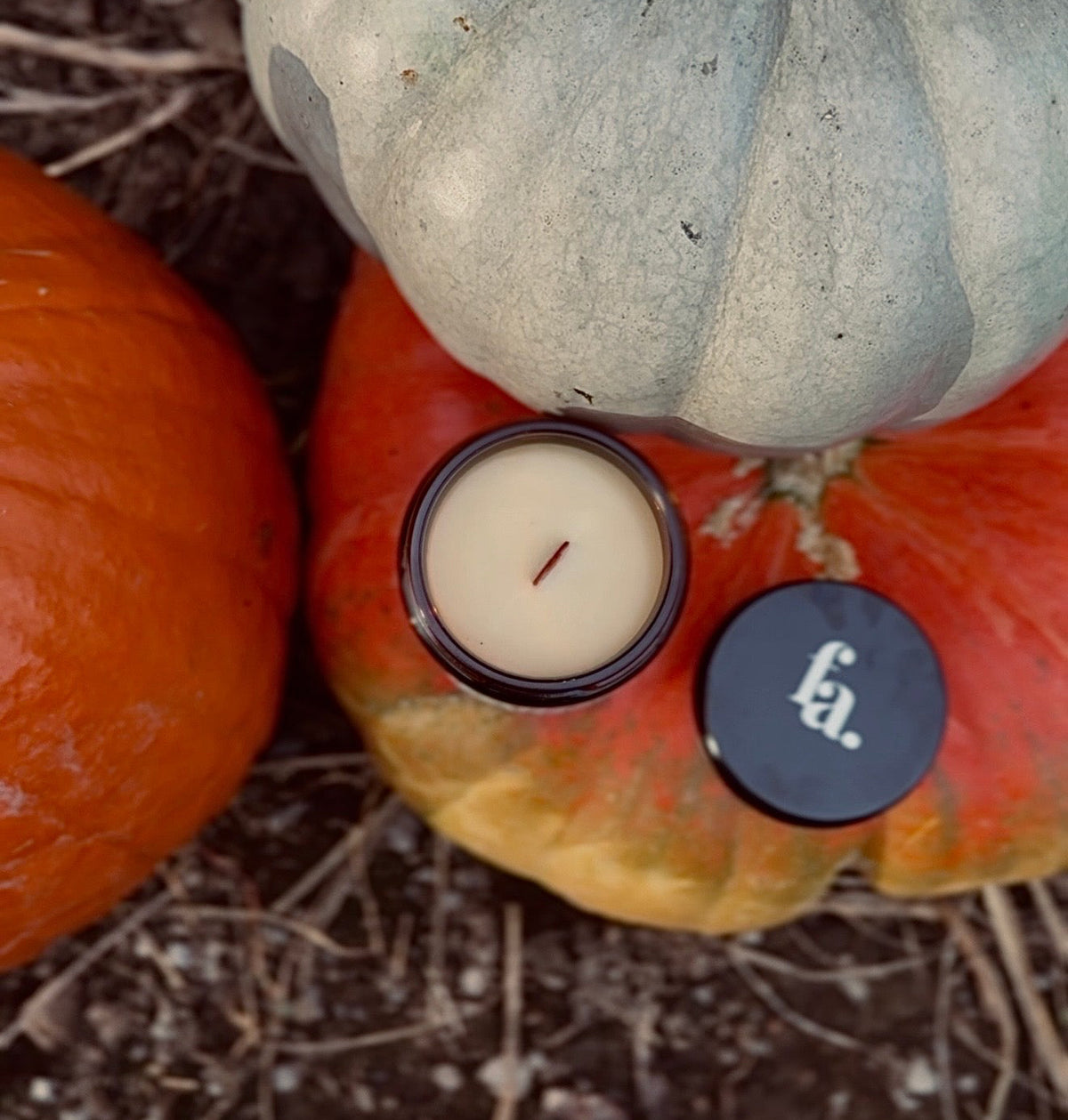 pumpkin farm